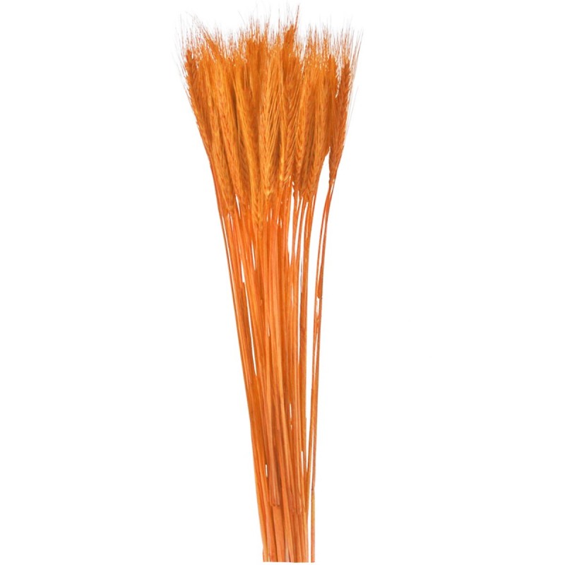 Spice de grau portocalii 65cm, 150g