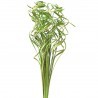 Curly ting ting verde 45cm, 50g