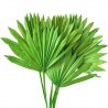 Frunze de palmier soare verde deschis 50cm, 7buc
