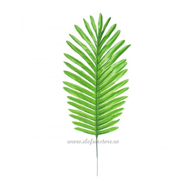 Frunza de Palmier Verde Deschis 46cm