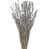 Levantica naturala english 60cm, 150g