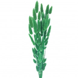 Lagurus verde inchis 60cm,...