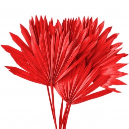Frunze de palmier soare rosii 50cm, 5buc