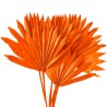 Frunze de palmier soare portocalii 50cm, 5buc