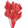 Mini Frunze de palmier taiate rosii 40cm, 13buc