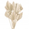 Mini Frunze de palmier taiate alb decolorat 40cm, 15buc