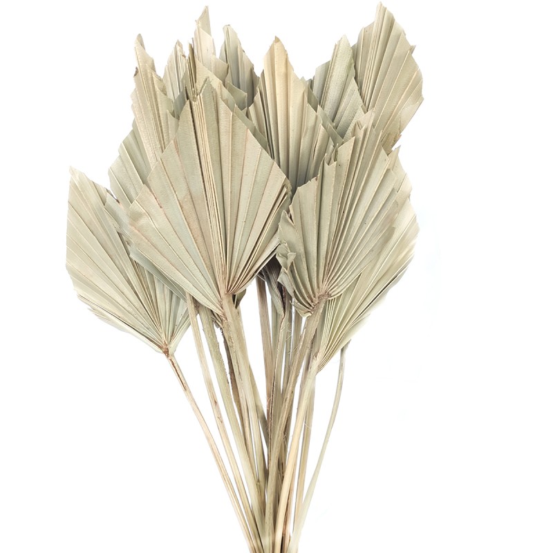 Mini Frunze de palmier uscate natural 40cm, 15buc Mini Frunze de palmier uscate natural 40cm, 15buc