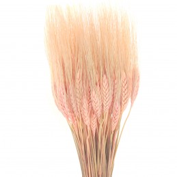 Spice de grau roz deschis 60cm, 80g
