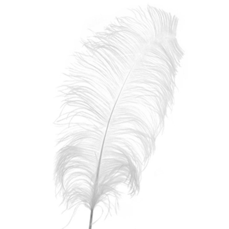 Set 5 pene de strut albe mici 15-20 cm