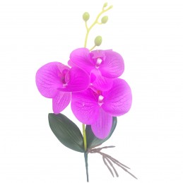 Orhidee magenta cu frunze,...