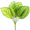 Buchet 9 frunze artificiale calathea 30 cm