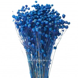 In albastru inchis, plante uscate 60cm, 100g