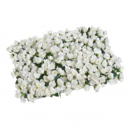 Panou flori | trandafiri albi si frunzulite 60x40cm