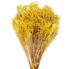 Broom Bloom natural 60cm, 100g