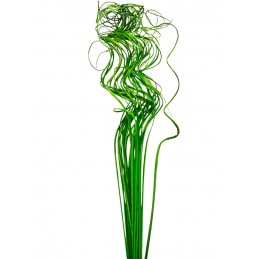 Curly ting ting verde inchis 65cm, 50g