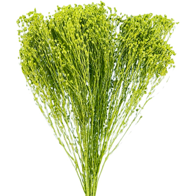 Broom Bloom verde deschis 60cm, 100g