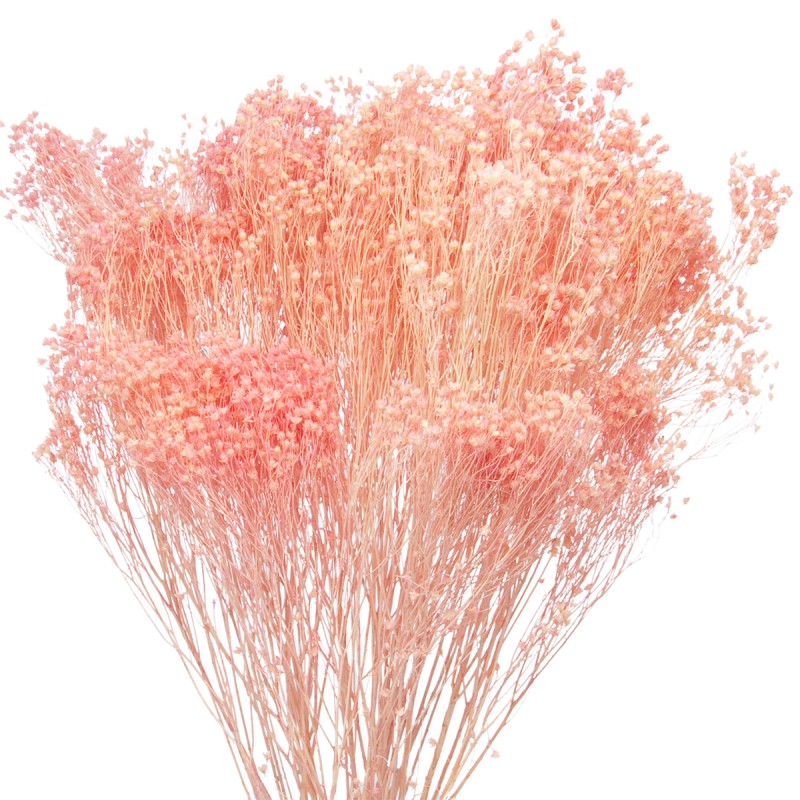 Broom Bloom roz deschis 60cm, 80g