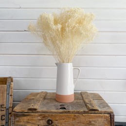 Broom Bloom alb decolorat 60cm, 80g
