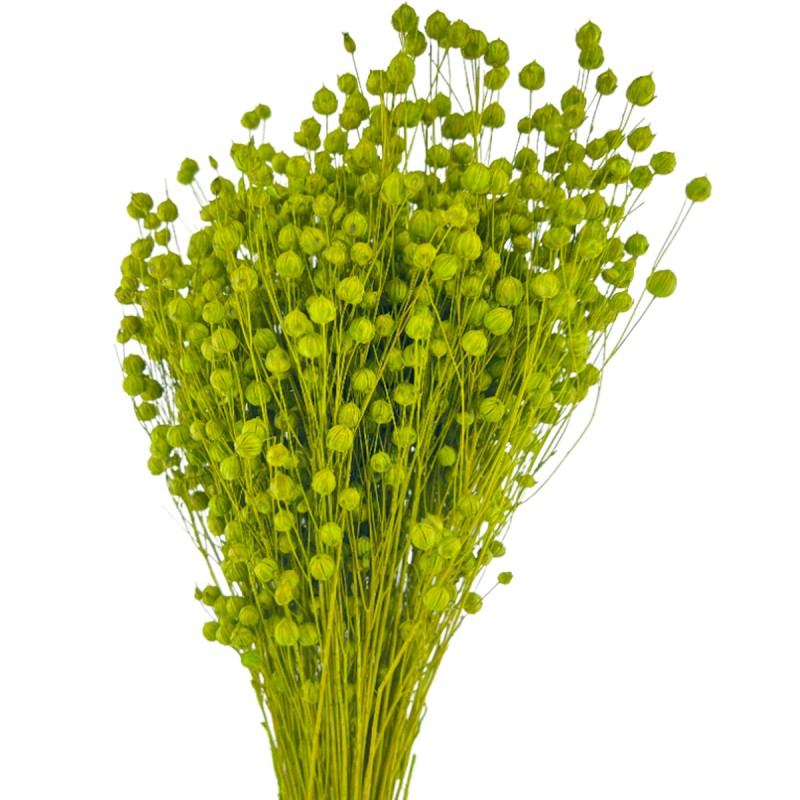 In verde deschis, plante uscate 60cm, 100g