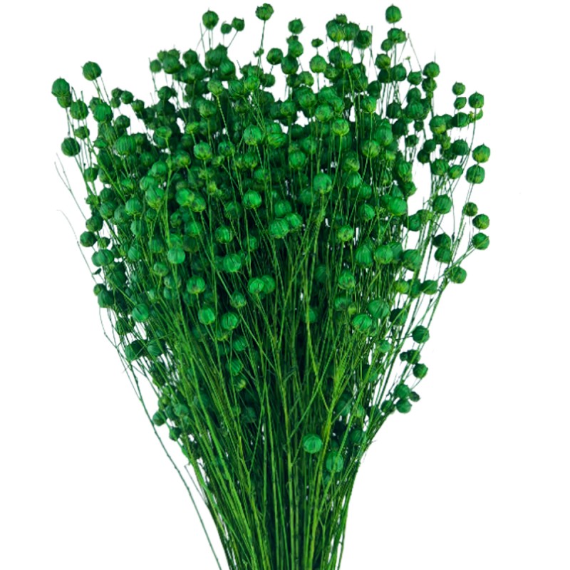 In verde inchis, plante uscate 60cm, 100g