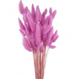 Lagurus lila-roz vintage...
