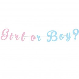 Banner Girl or boy? roz si...