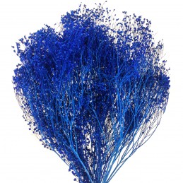 Broom Bloom albastru 60cm, 80g