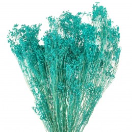 Broom Bloom turcoaz 60cm, 80g