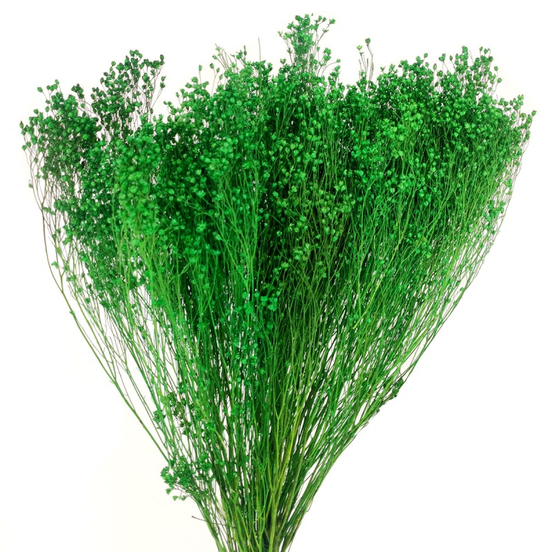 Broom Bloom verde inchis 60cm, 80g