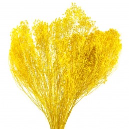 Broom Bloom galben 60cm, 80g