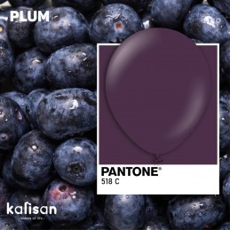 Baloane Latex Kalisan Plum Standard 30cm, 100buc