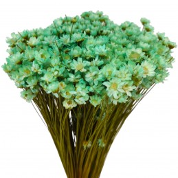 Glixia Temporona aqua, flori uscate 35cm, 50g