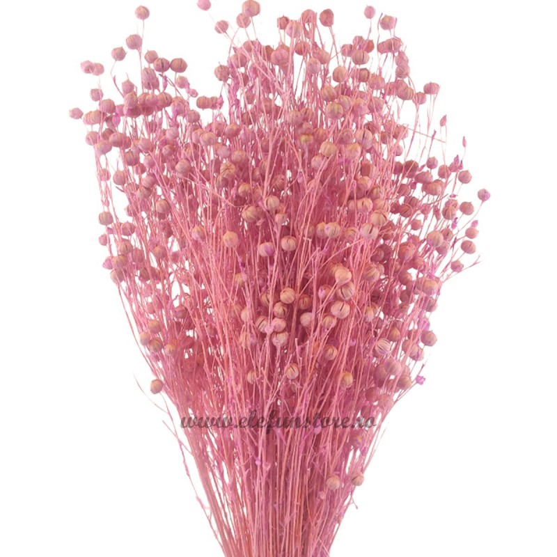 In roz-lavanda, plante uscate 60cm, 100g