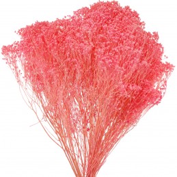 Broom Bloom roz standard 60cm, flori uscate 80g
