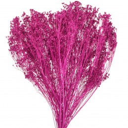 Broom Bloom indigo 60cm, flori uscate 80g