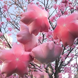 Balon Floare de cires roz, Sakura 55cm