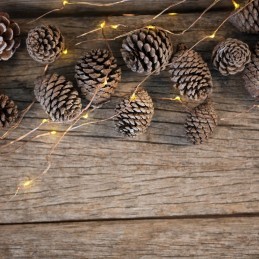 Ghirlanda 50 Micro-Led cu lumina calda 5m