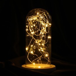 Ghirlanda 50 Micro-Led cu lumina calda 5m