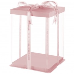 Cutie acetofan 17x17x20 cm,...