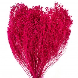 Broom Bloom magenta 60cm, 80g
