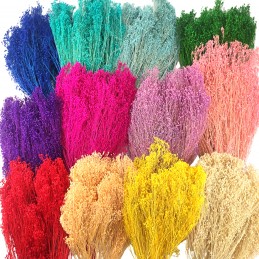 Broom Bloom indigo 60cm, 80g