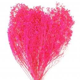 Broom Bloom roz flieder...