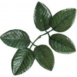 Set 20 frunze de trandafir...