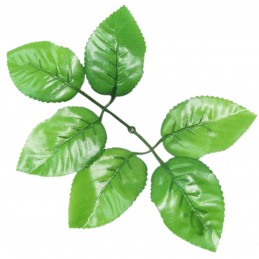 Set 20 frunze de trandafir...