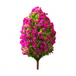 Miniatura copac cu flori...