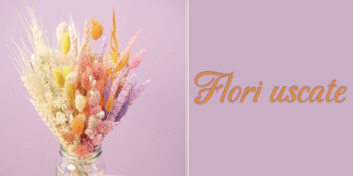 Flori Uscate si Plante Uscate